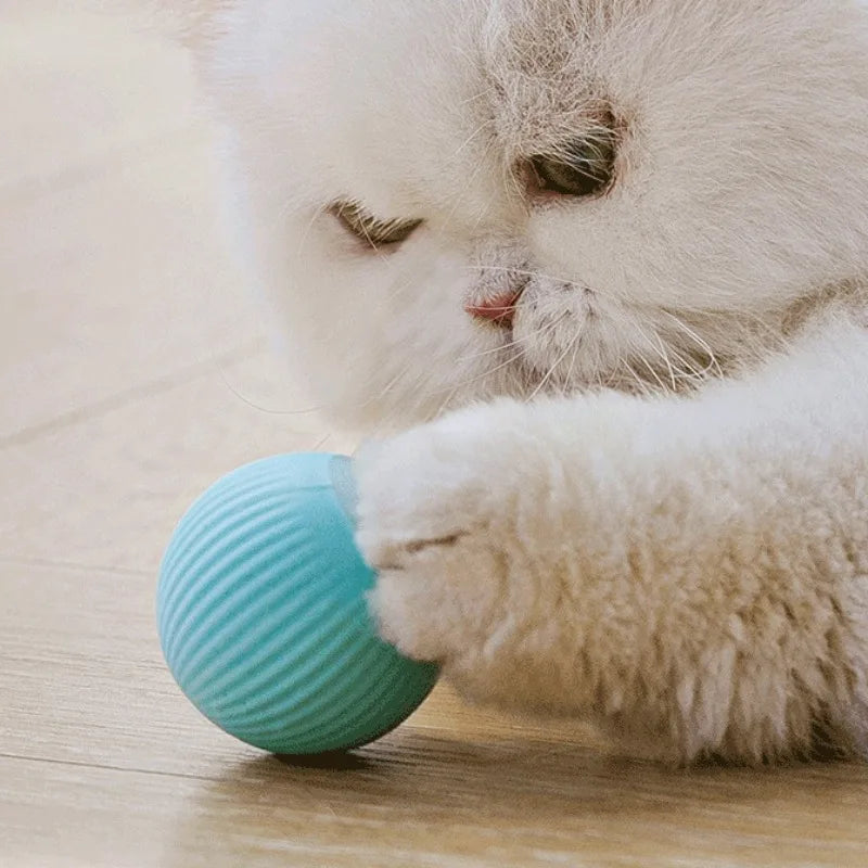 Cat Interactive Smart Ball – Automatic Rolling Electronic Toy for Indoor Cats